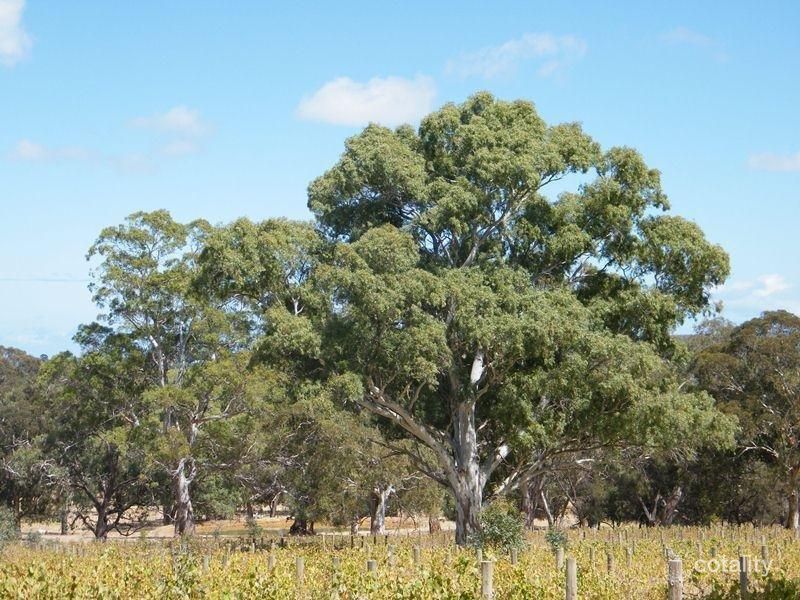 20 Glory Rd, Kangarilla, SA 5157