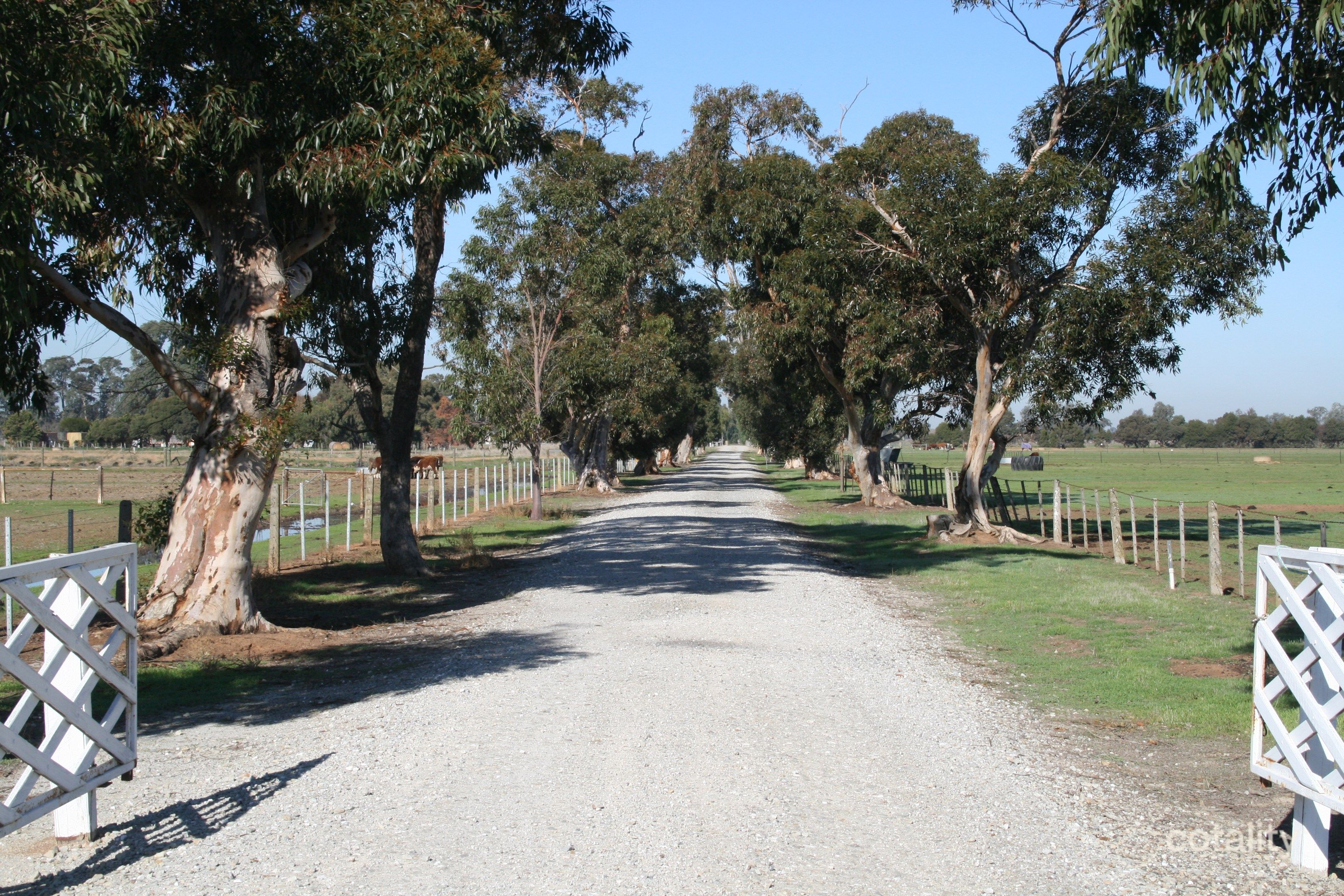 1239 Mcbain Rd, Tongala, VIC 3621