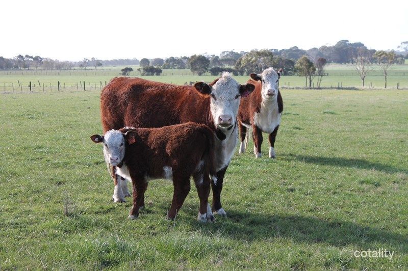 1195 Larpent Rd, Larpent, VIC 3249