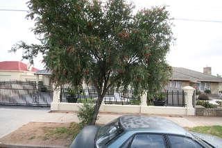 36 Sunbeam Rd, Croydon Park, SA 5008