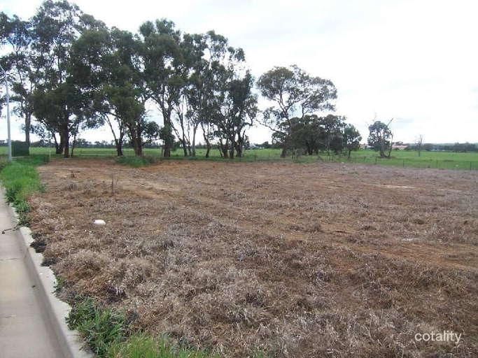 43 Harold Conkey Ave, Cootamundra, NSW 2590