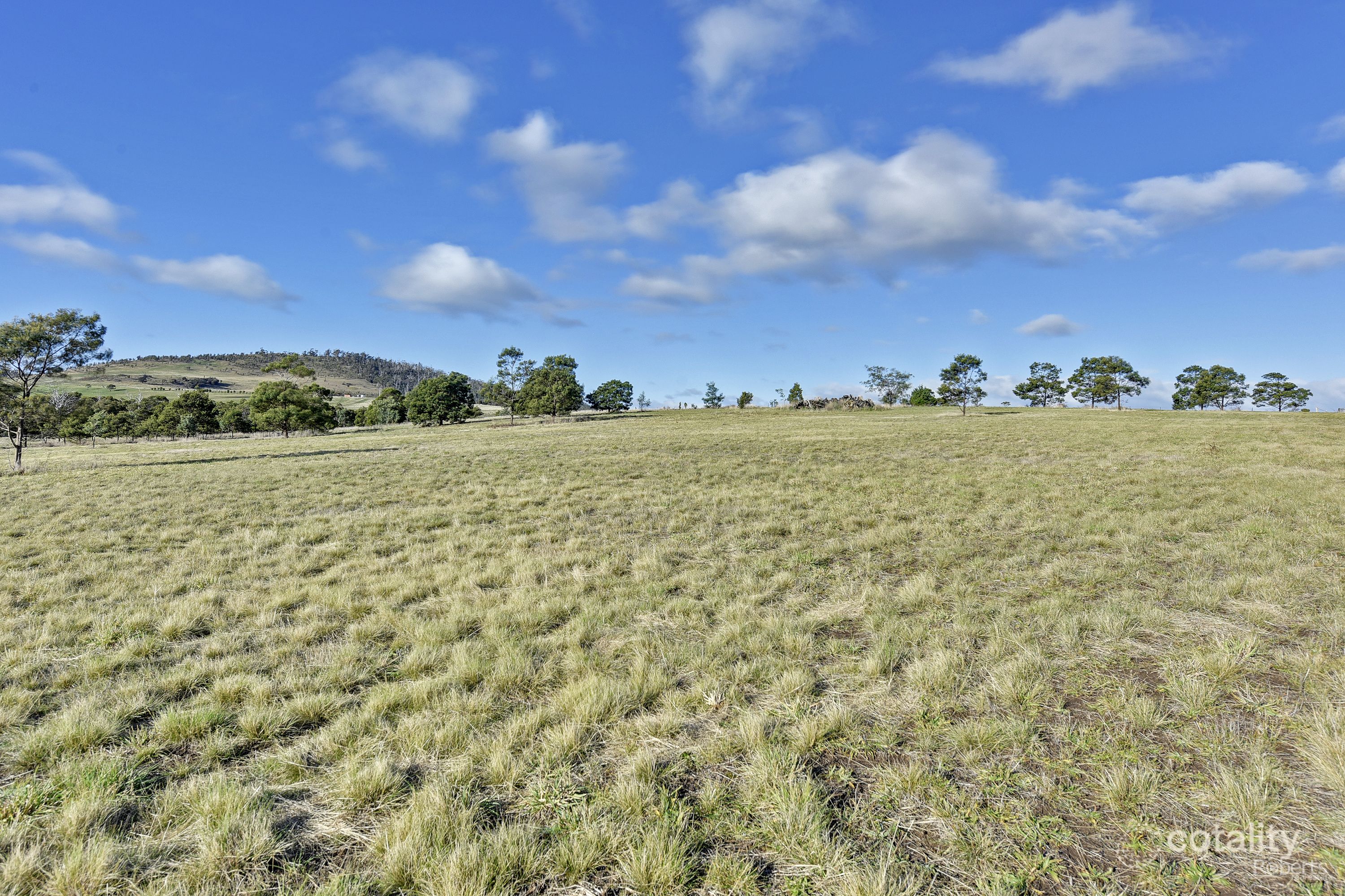 114 Allambie Rd, Orielton, TAS 7172
