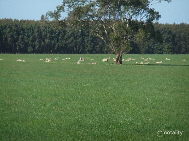 505 Friends Rd, Myamyn, VIC 3304