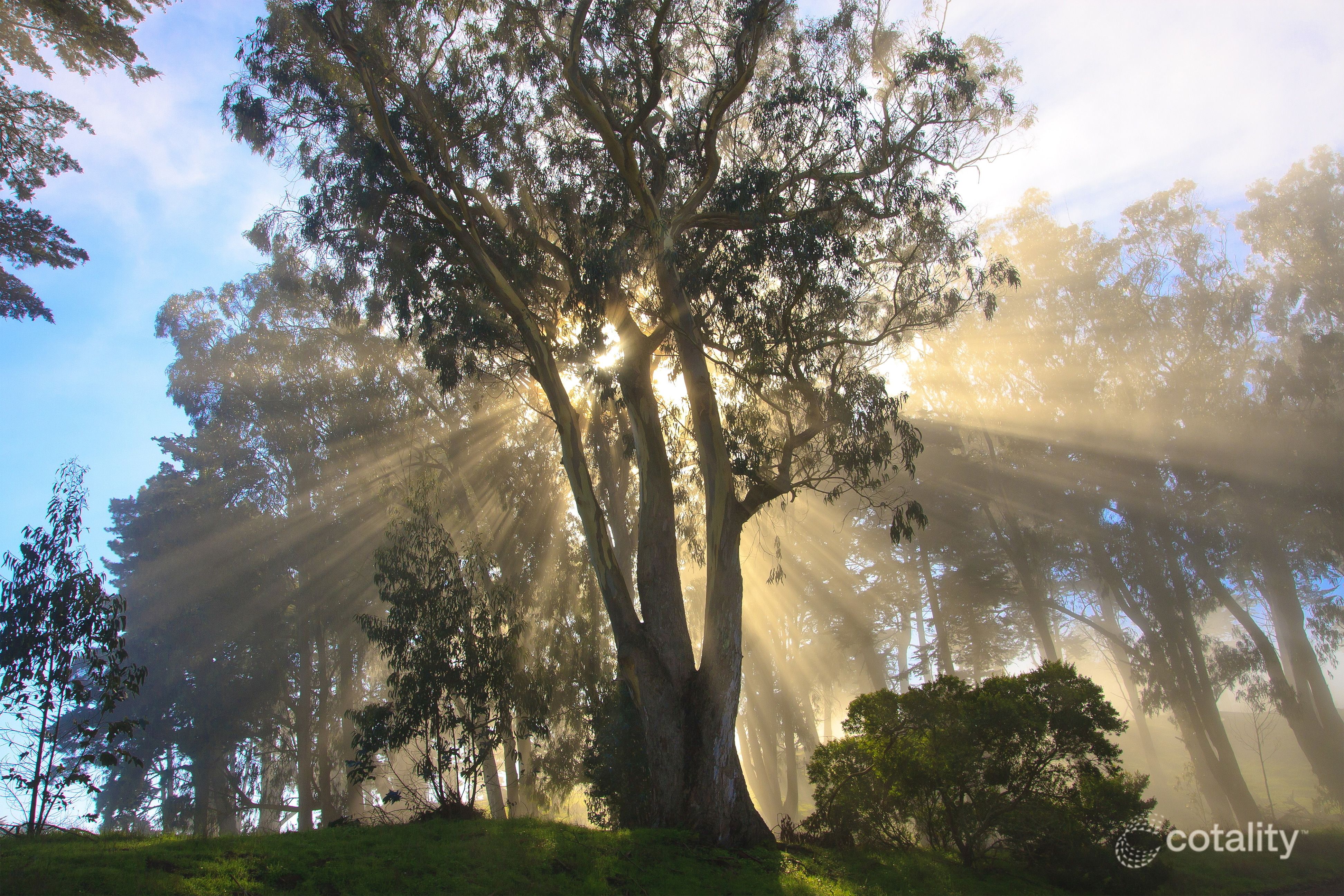 13 Lachlan Valley Way, North Kellyville, NSW 2155