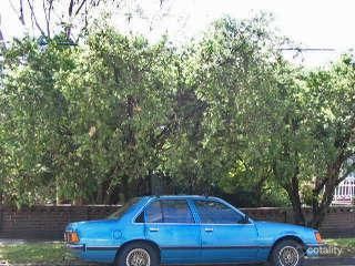117 Wardell Rd, Dulwich Hill, NSW 2203
