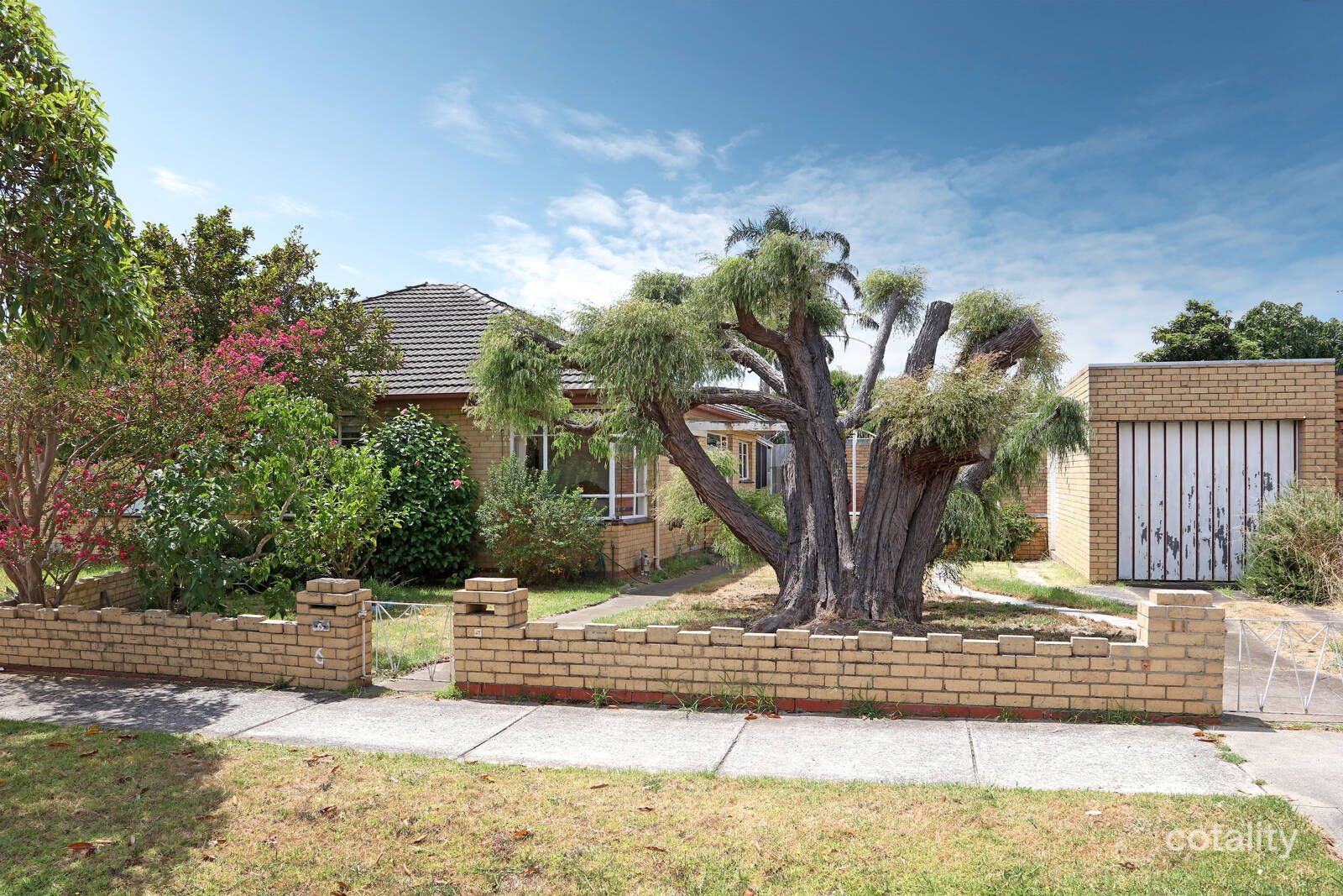 6 Windsor Ave, Bentleigh, VIC 3204