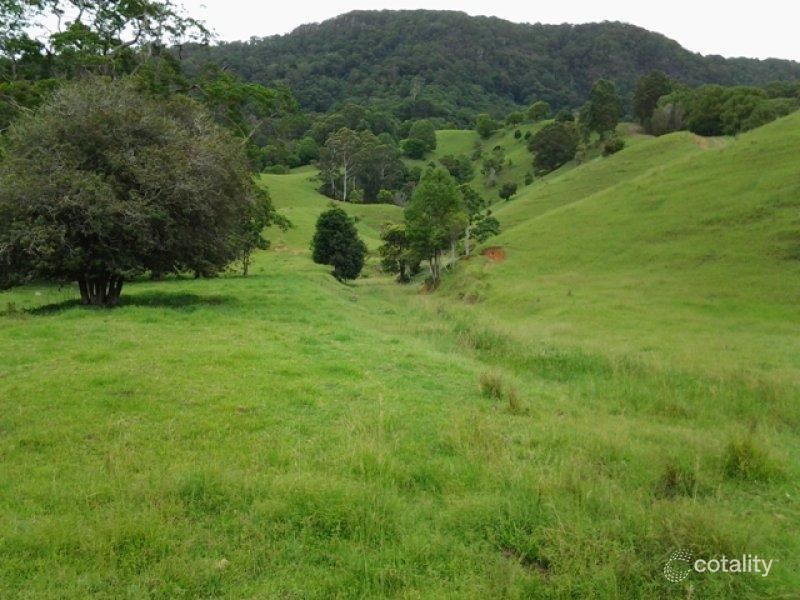 1318 Currumbin Creek Rd, Currumbin Valley, QLD 4223