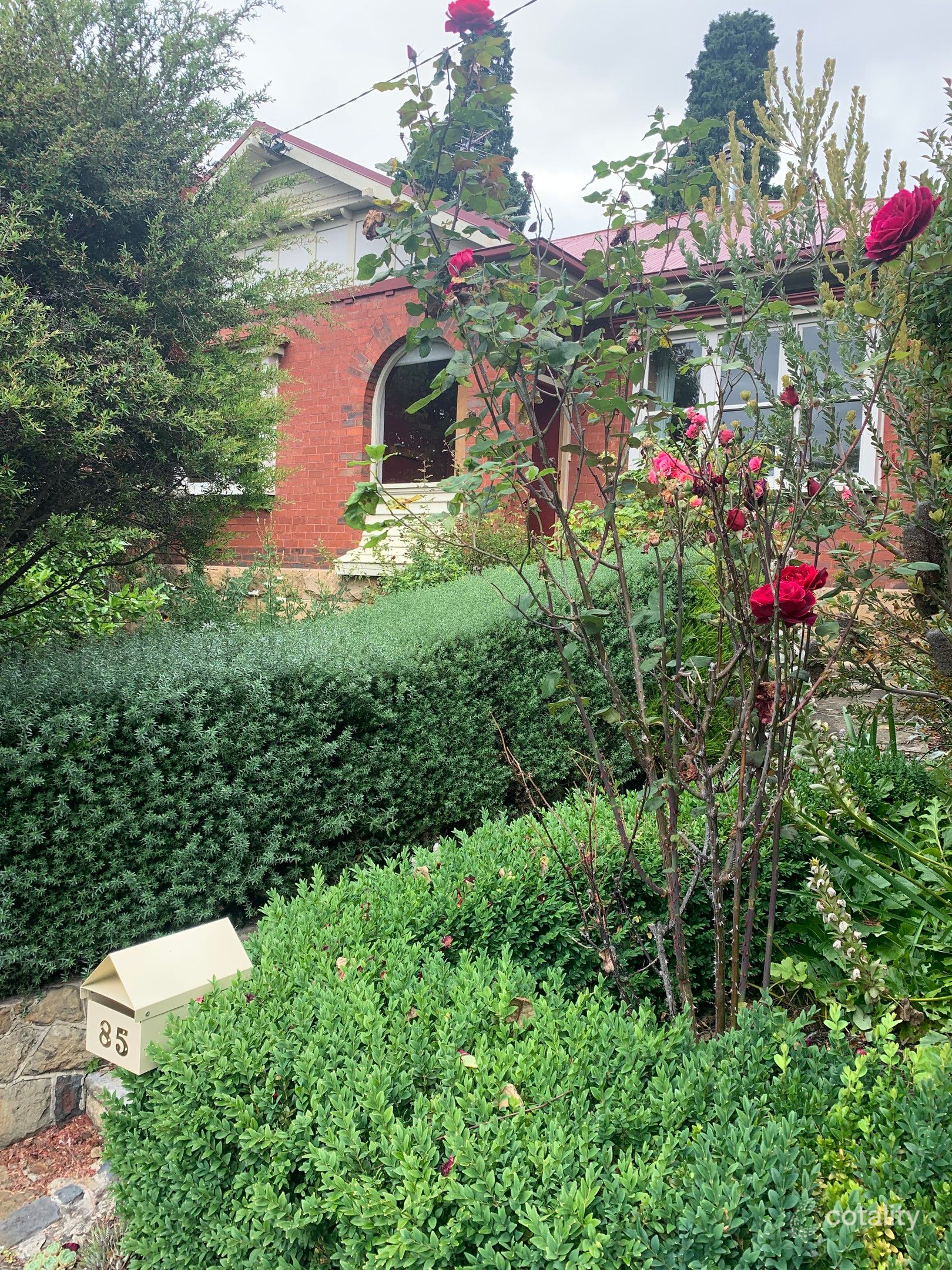 85 Lord St, Sandy Bay, TAS 7005