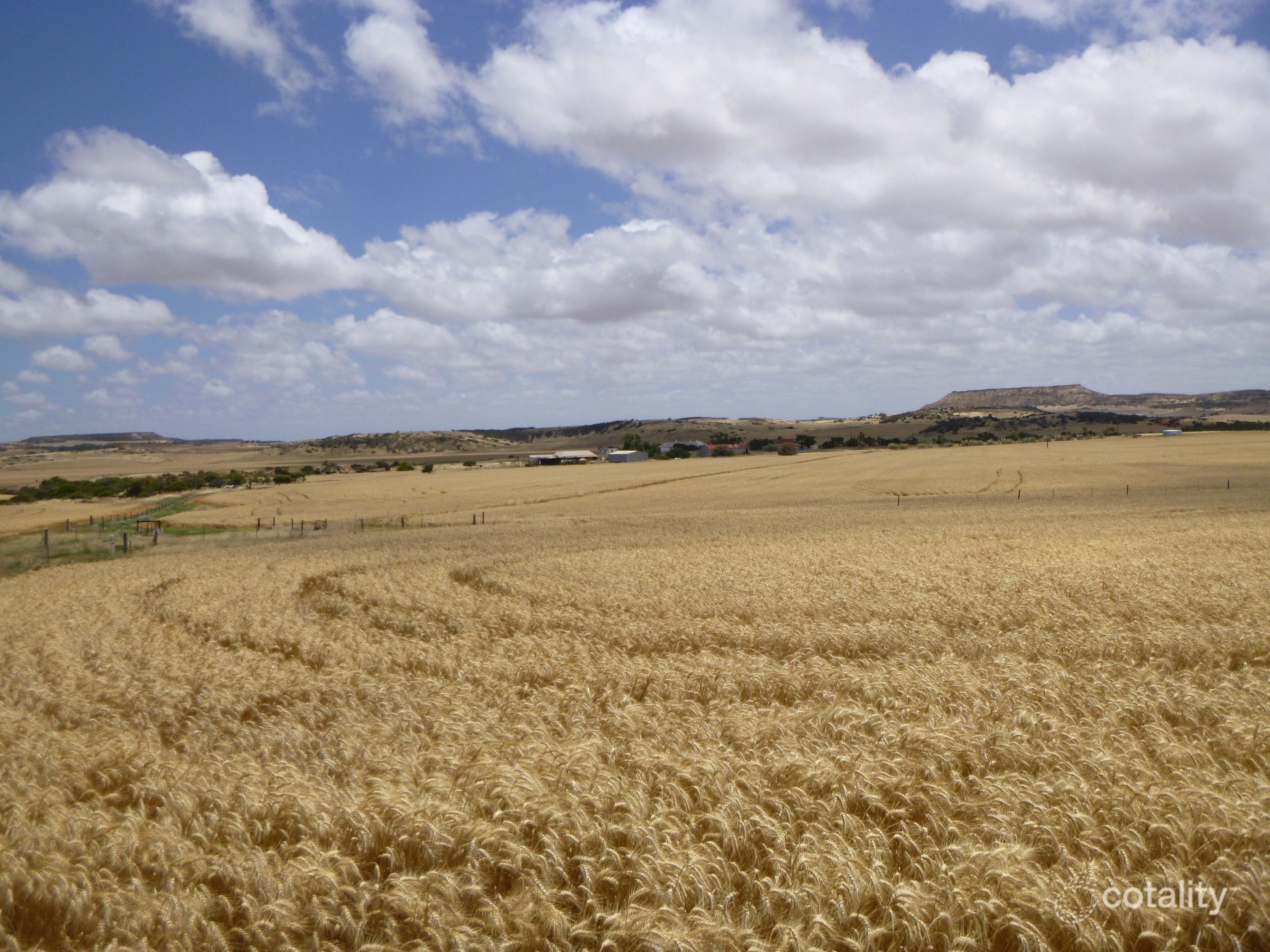 423 Starling Rd, Bowes, WA 6535