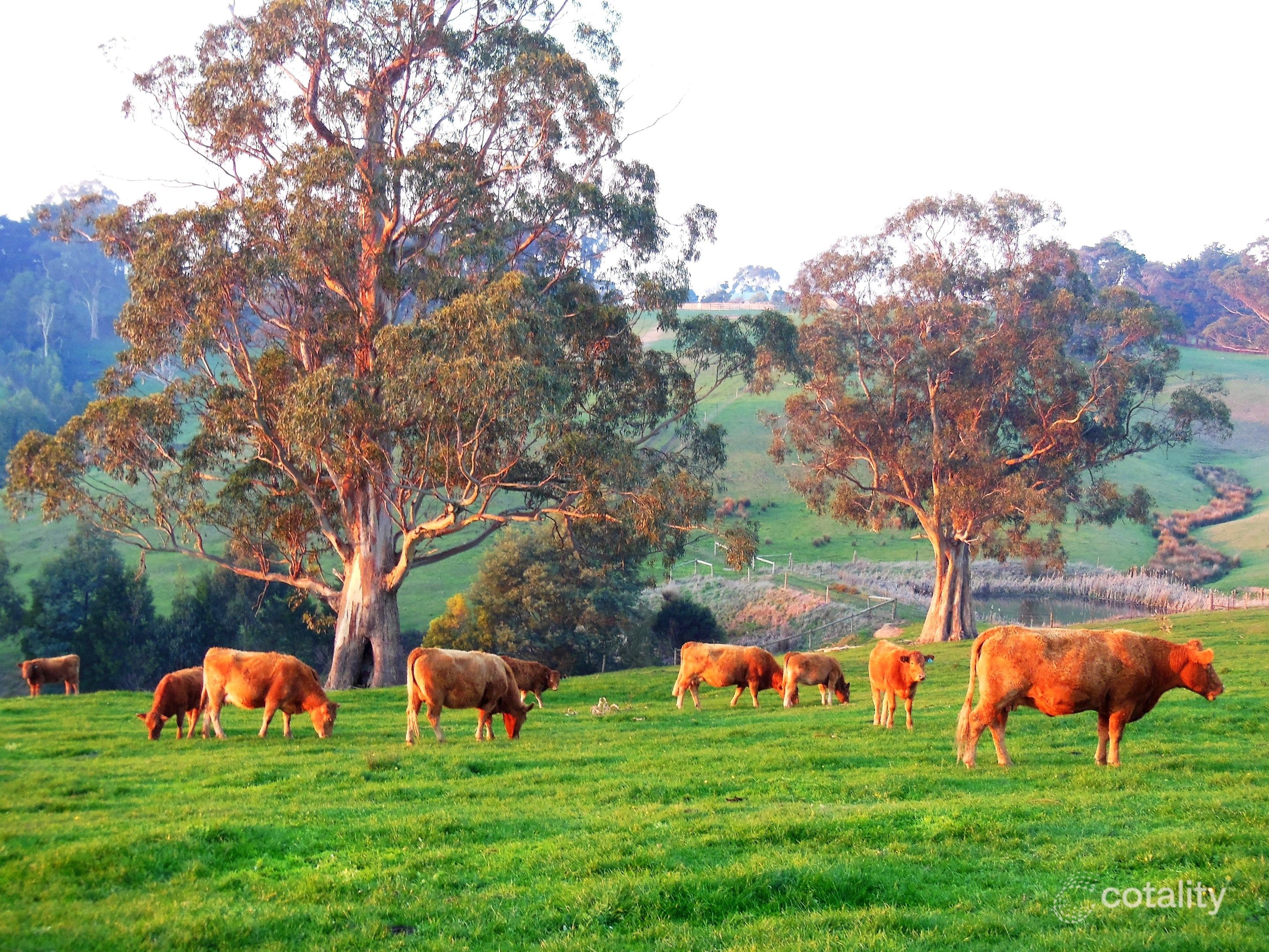 640 Boolarra South-Mirboo North Rd, Mirboo, VIC 3871