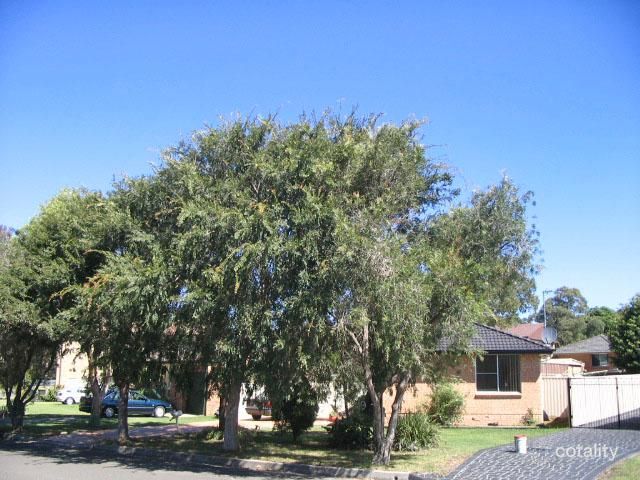9 Blackbutt Way, Barrack Heights, NSW 2528