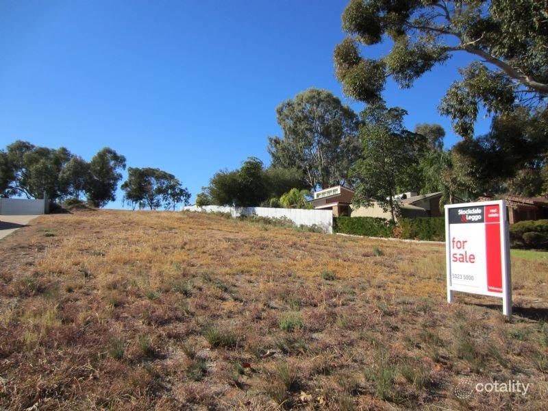 7 Riverview Dr, Dareton, NSW 2717