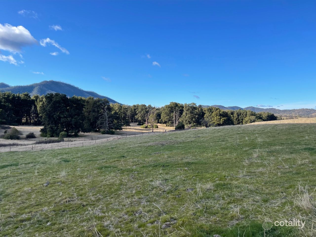 64 Victoria St, Araluen, NSW 2622
