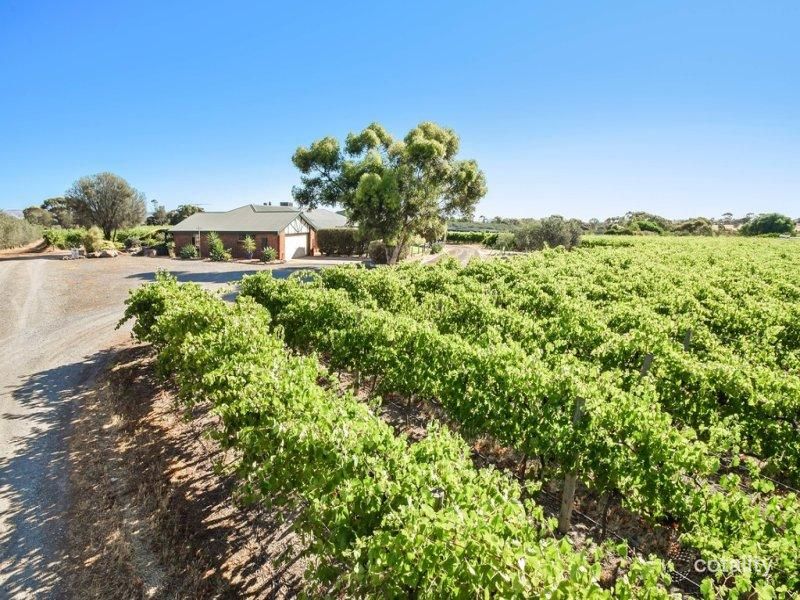 28 Wheaton Rd, Mclaren Vale, SA 5171