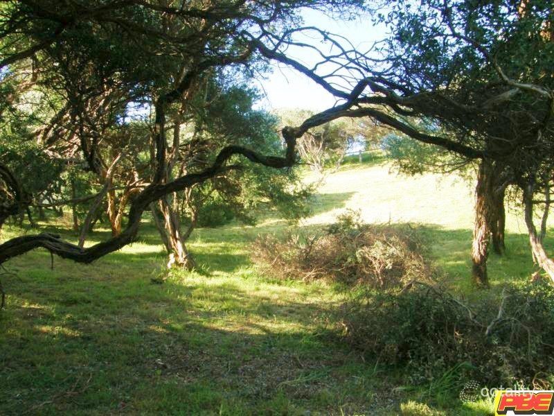 79 Inlet View Rd, Venus Bay, VIC 3956