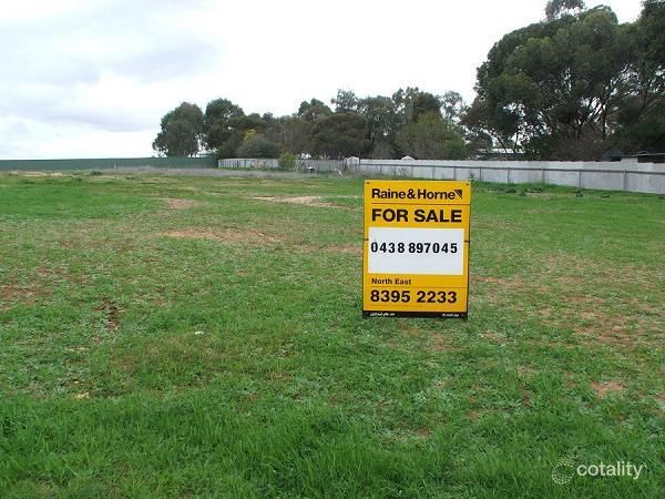 20 Lord Lynedoch St, Lyndoch, SA 5351