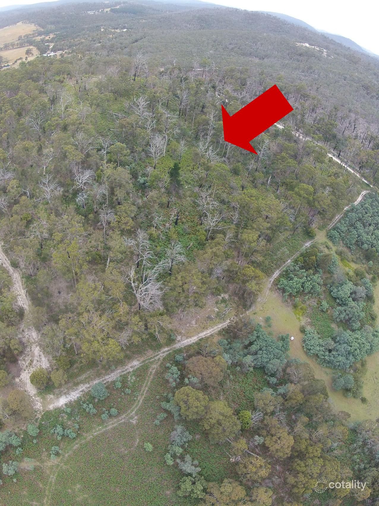 406 Gilling Brook Rd, Forcett, TAS 7173