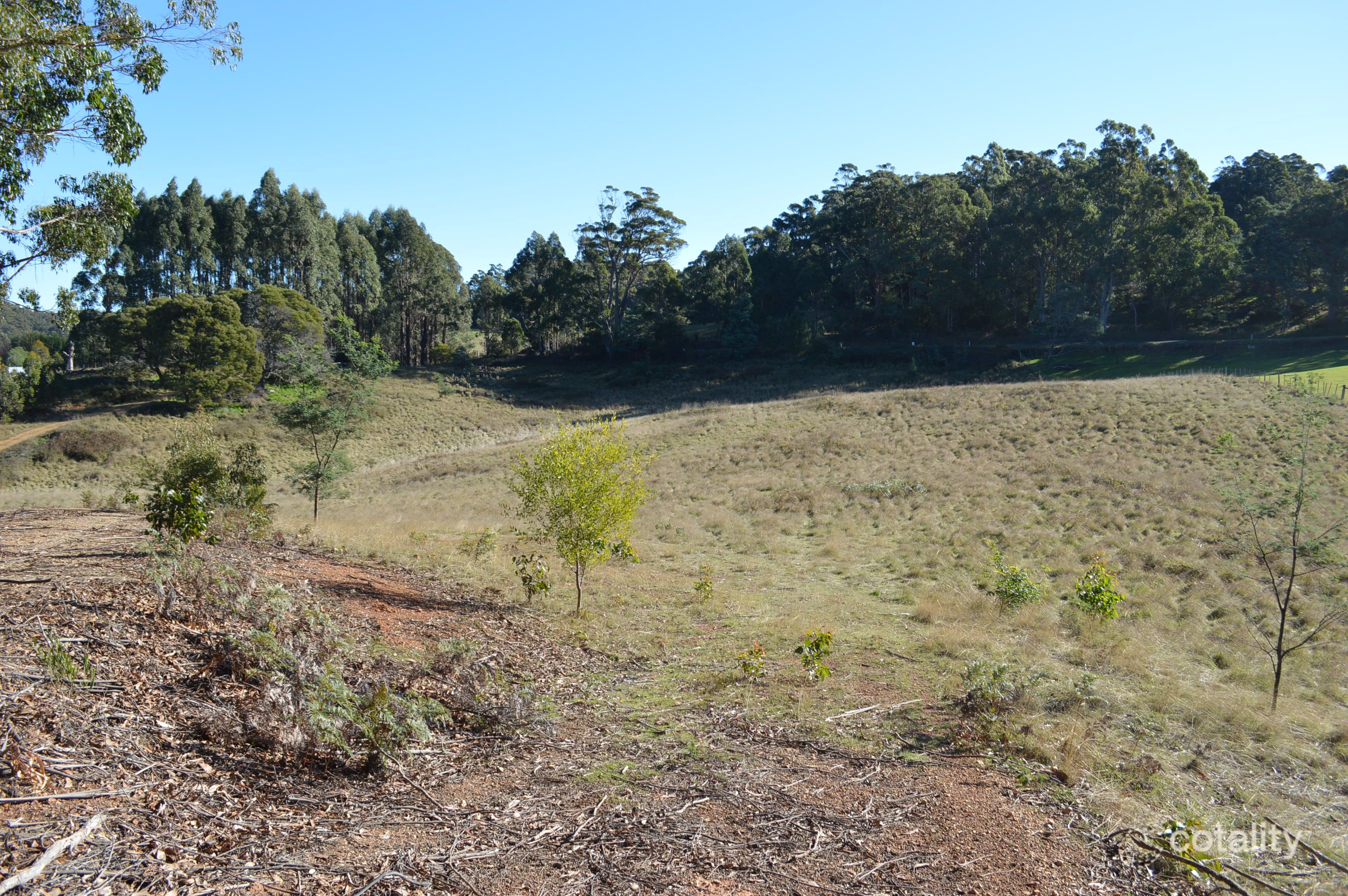 1927 Wilmot Rd, Lower Wilmot, TAS 7310