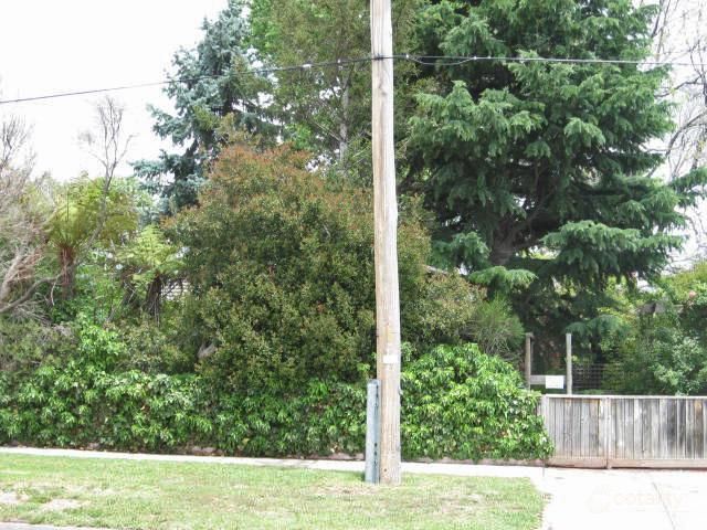 109 Shannon St, Box Hill North, VIC 3129
