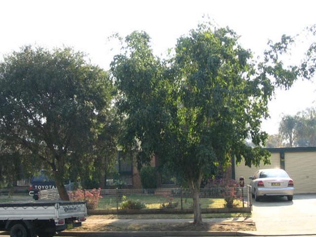 9 Barry Pl, Bidwill, NSW 2770