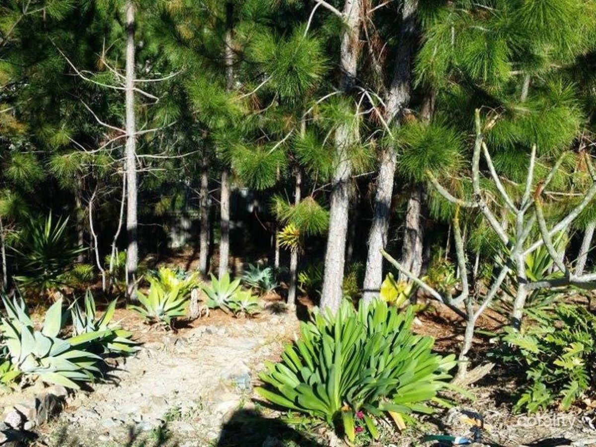 16 Huxley Ct, Pacific Pines, QLD 4211