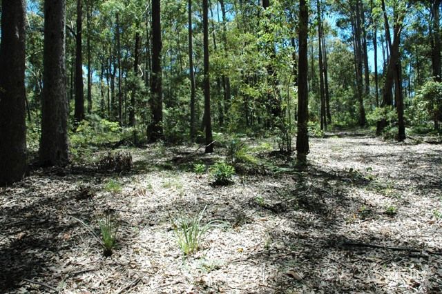 48 Denise Dr, Lilli Pilli, NSW 2536