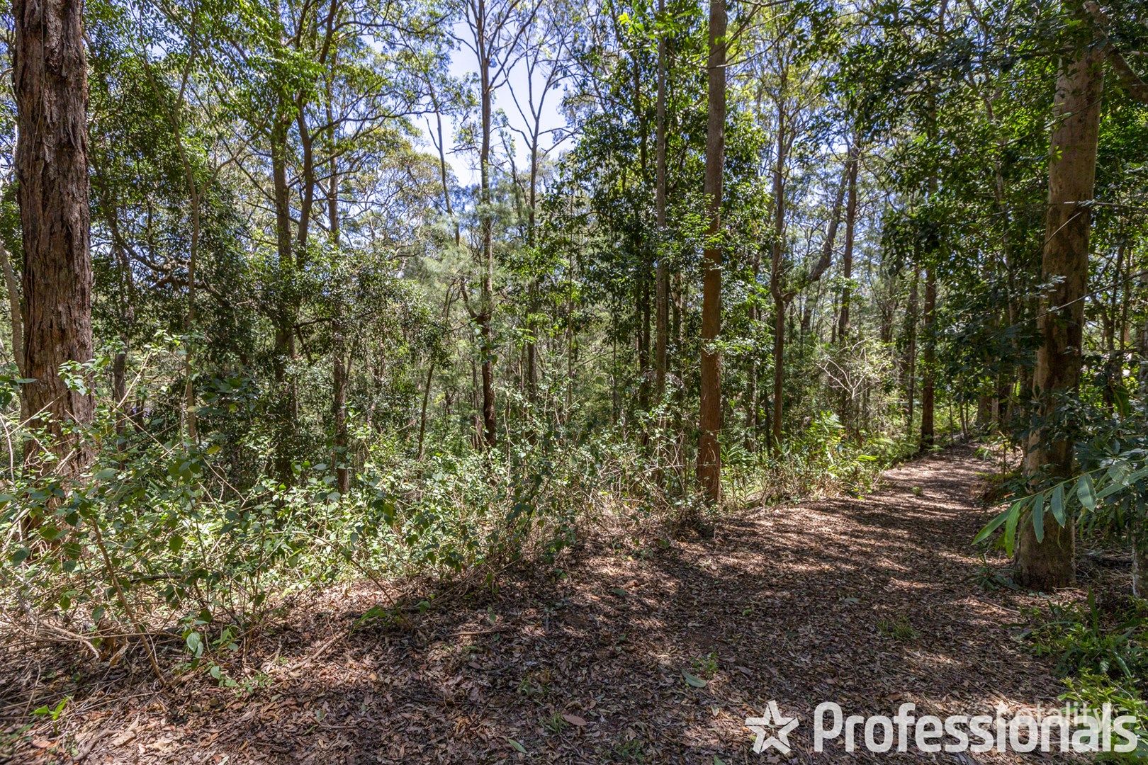 100 Wongawallan Rd, Tamborine Mountain, QLD 4272