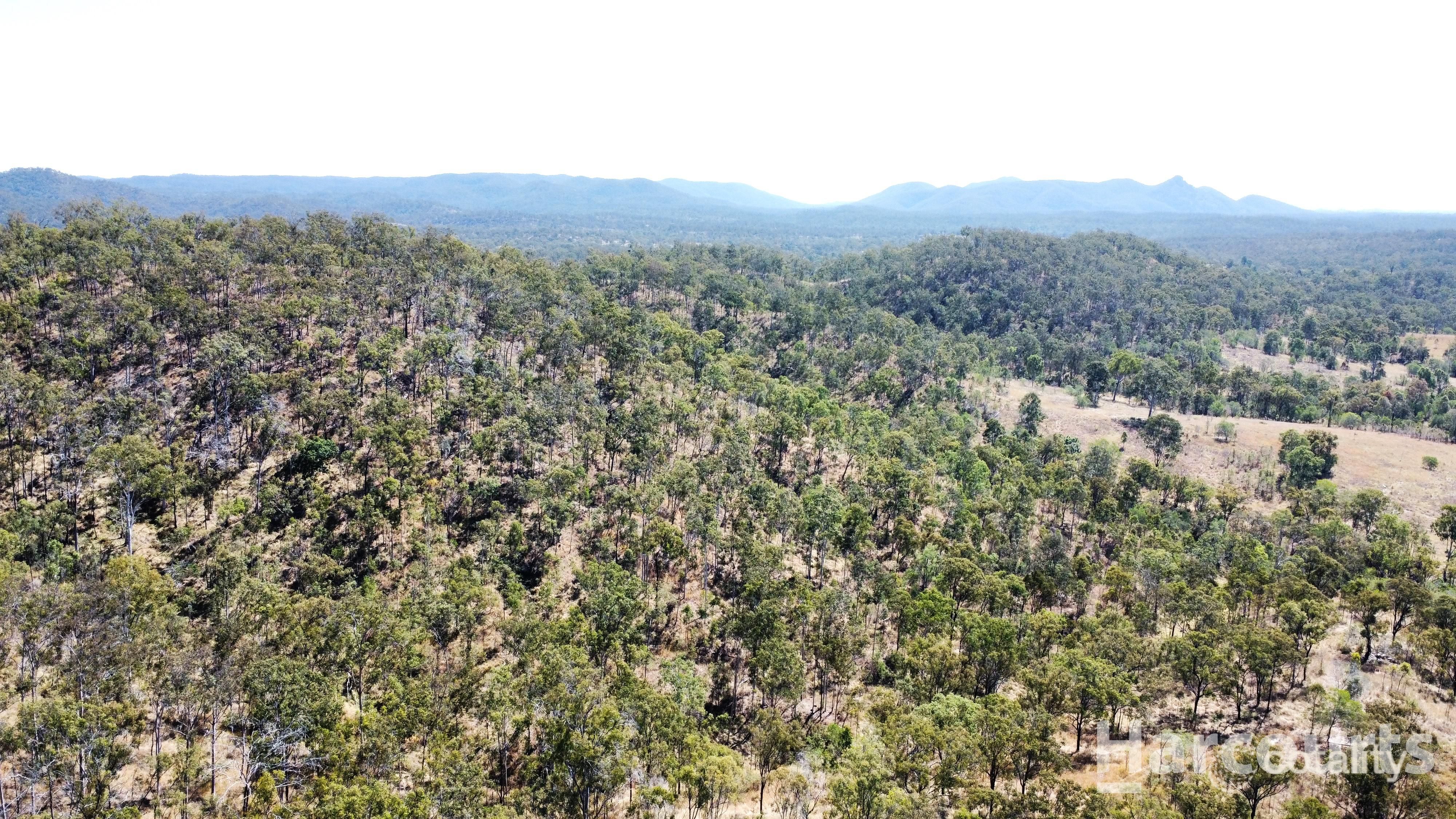 144 Chavasse Dr, Wonbah, QLD 4671