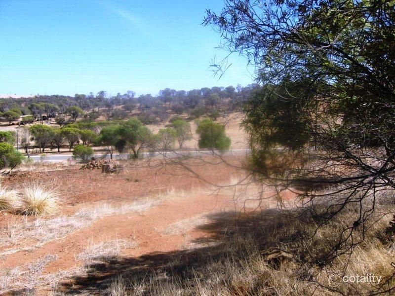 99 Wannerenooka Rd, Northampton, WA 6535