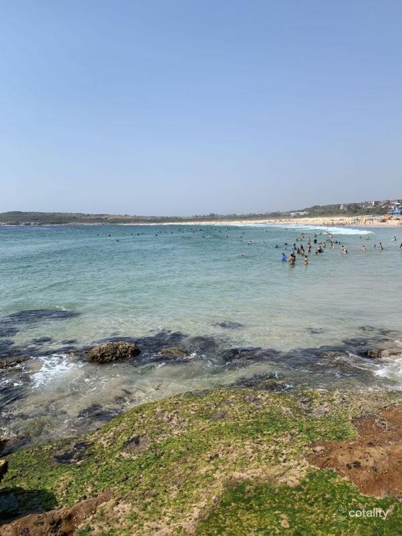 8/425 Malabar Rd, Maroubra, NSW 2035