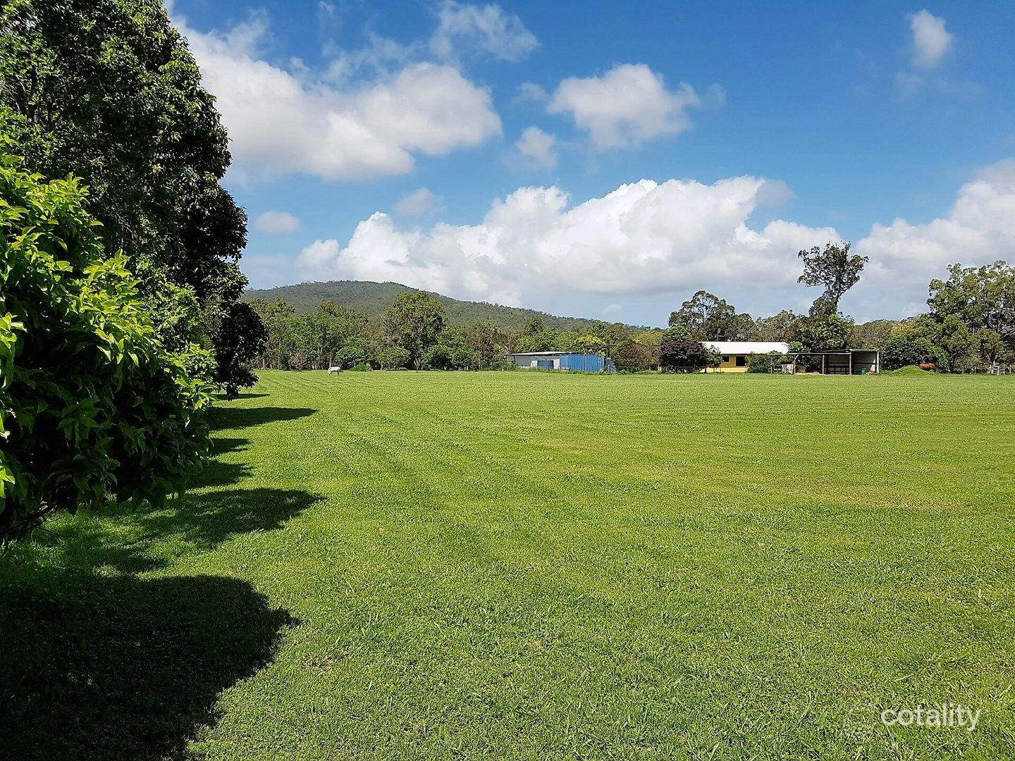 386 Koah Rd, Koah, QLD 4881