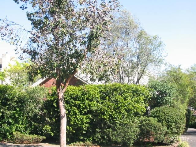 1/5 Terry St, Deepdene, VIC 3103