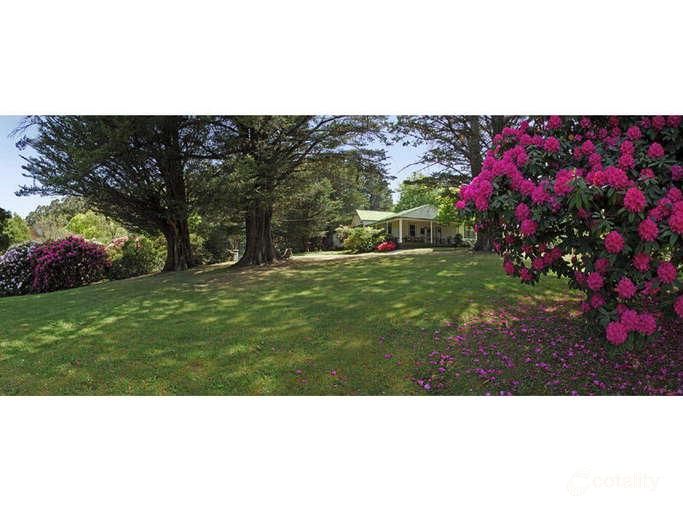 755 Myers Creek Rd, Toolangi, VIC 3777