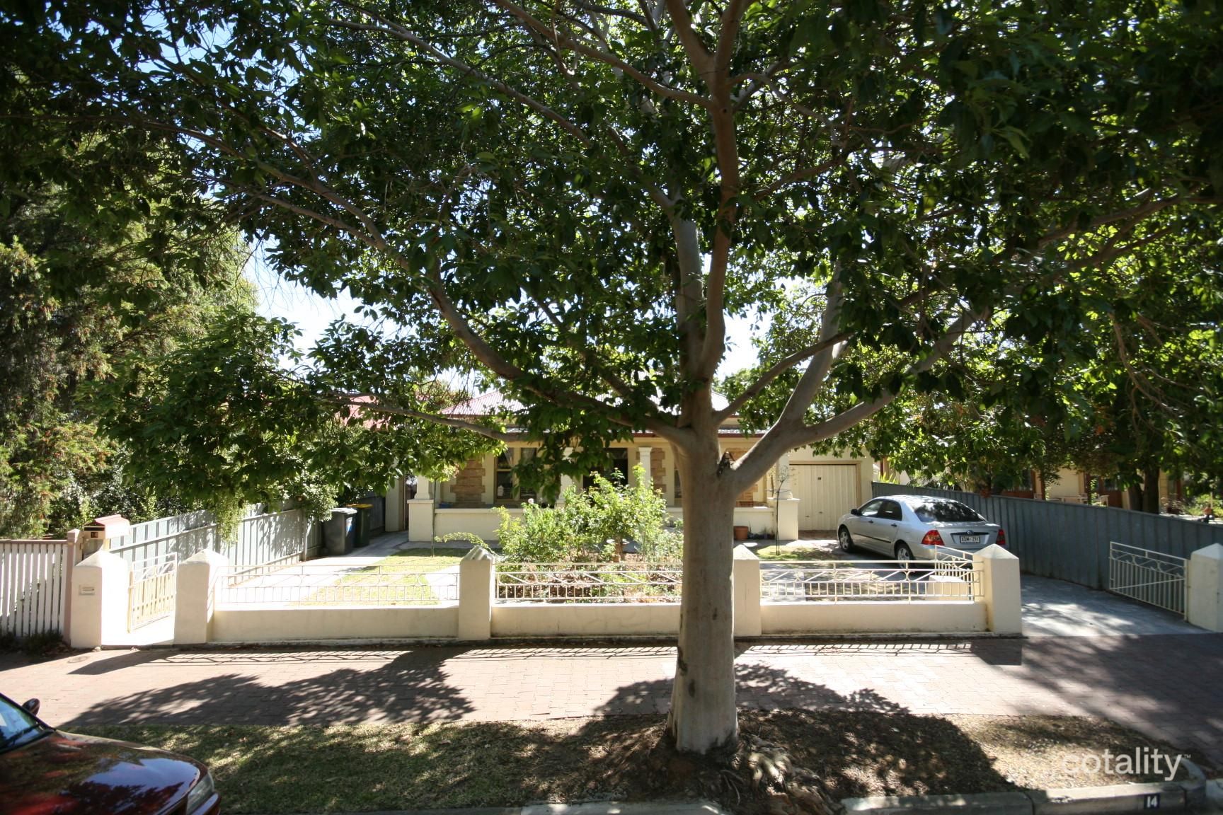 14 Homer Rd, Clarence Park, SA 5034