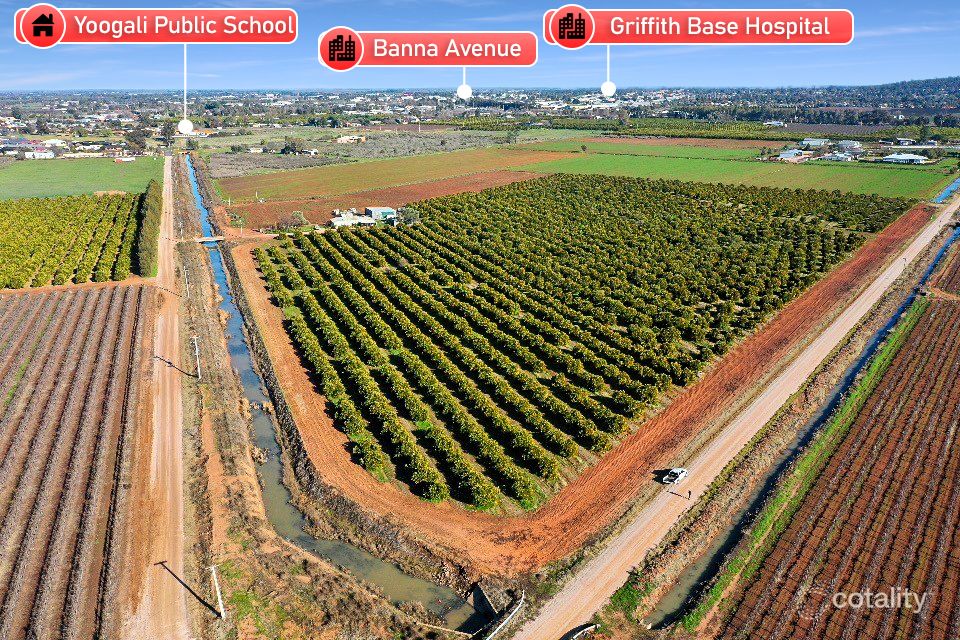 51 Bosanquet Rd, Yoogali, NSW 2680