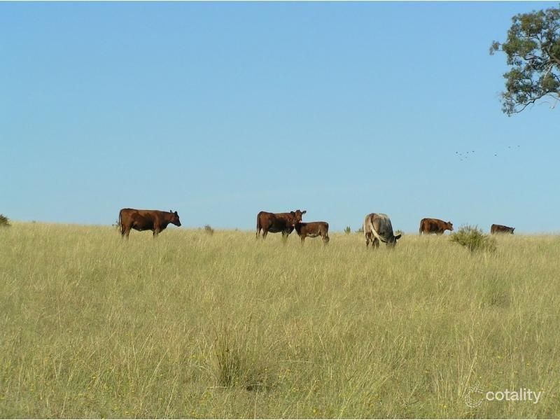 1112 Summerhill Rd, Turill, NSW 2850