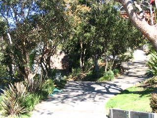 19 Inala Pl, North Narrabeen, NSW 2101