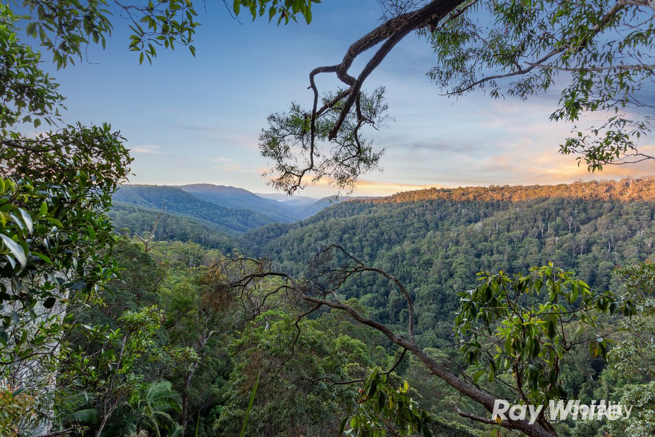 41 Gwongorella Pde, Springbrook, QLD 4213
