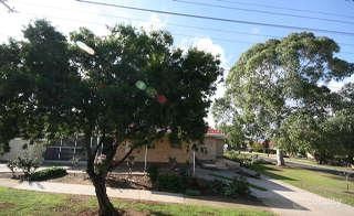 12 Willoughby St, Klemzig, SA 5087