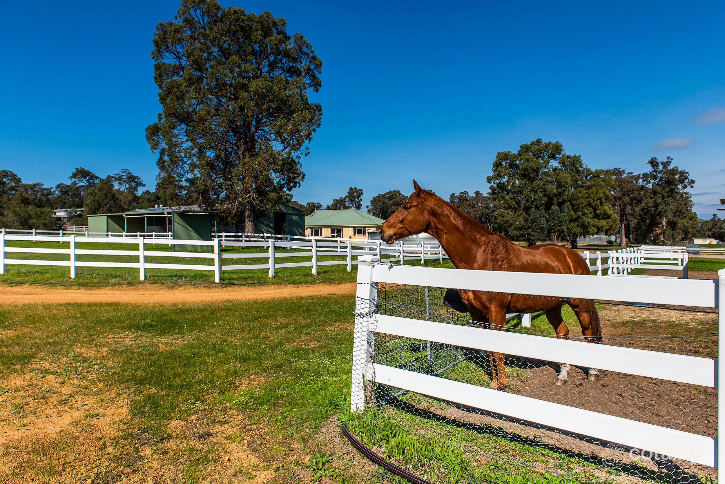 37 Grassy View, Gidgegannup, WA 6083