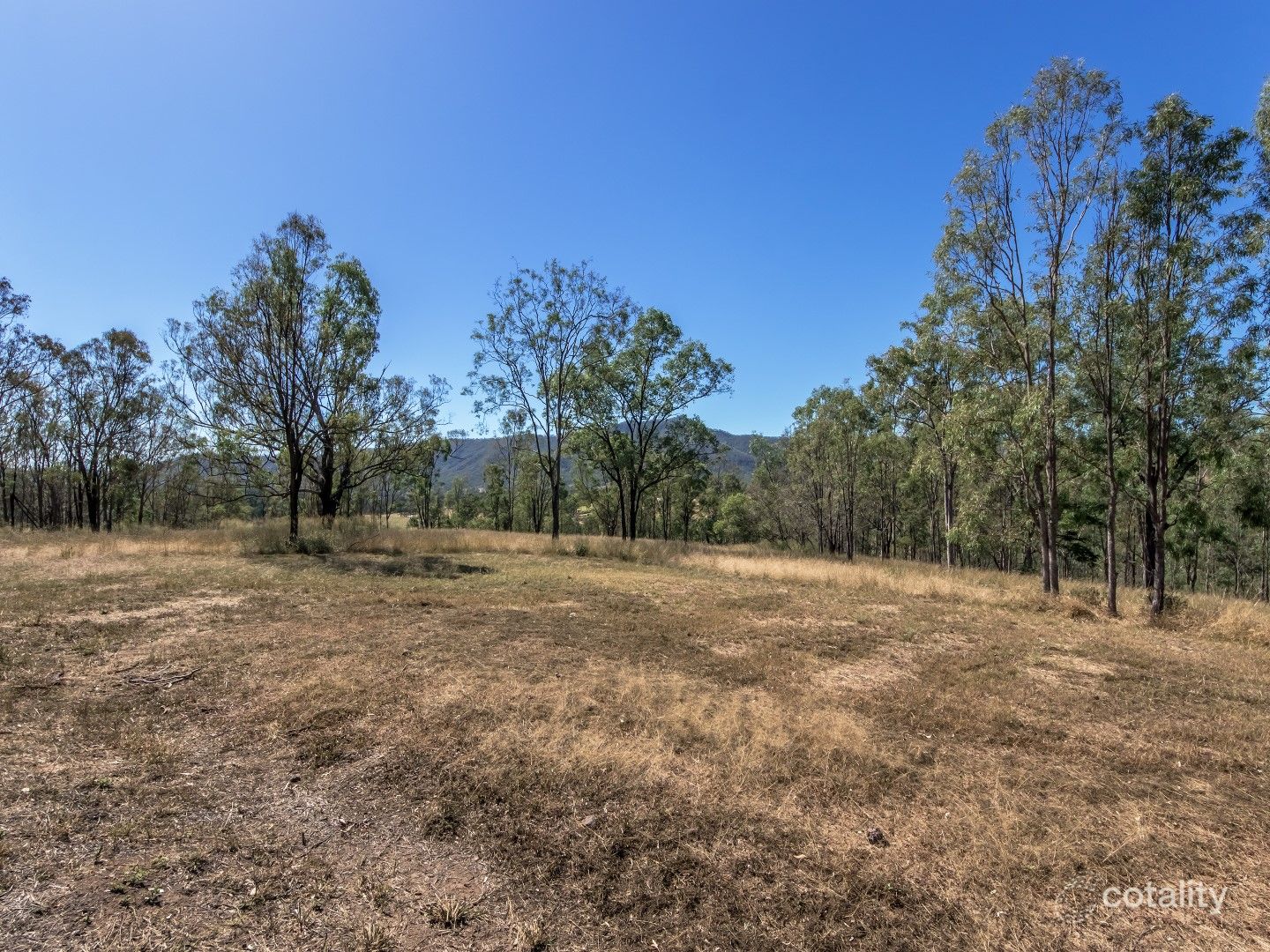 33 Main Camp Creek Rd, Thornton, QLD 4341