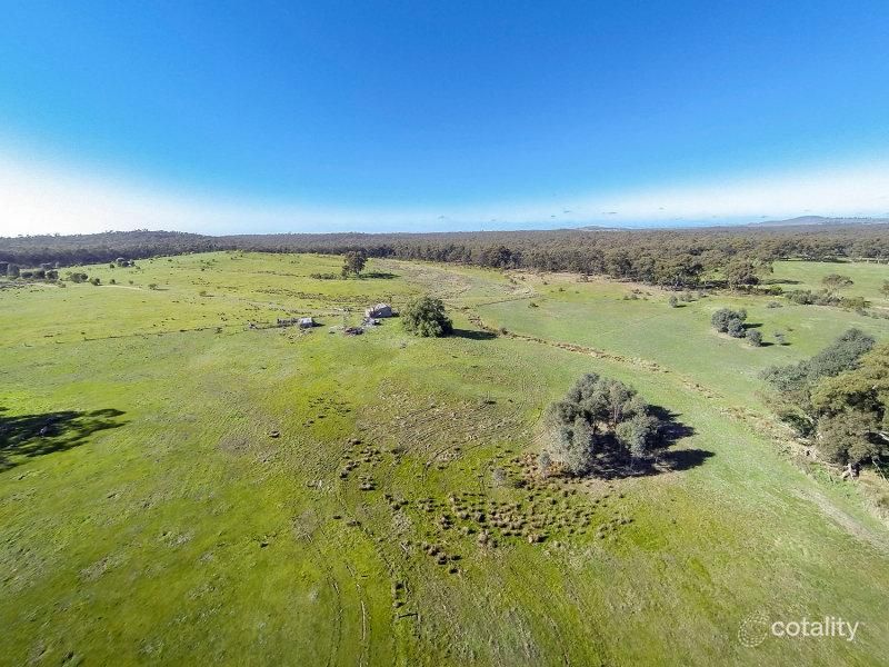 167 Mezzinas Rd, Strathlea, VIC 3364