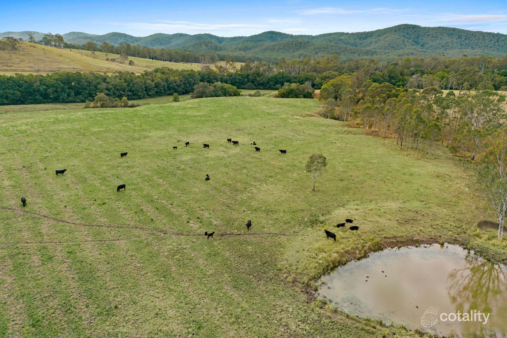 345 Markwell Back Rd, Bulahdelah, NSW 2423