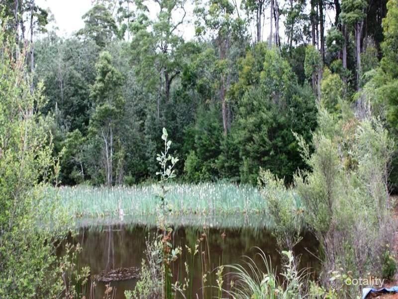 61 Tipunah Rd, Mengha, TAS 7330