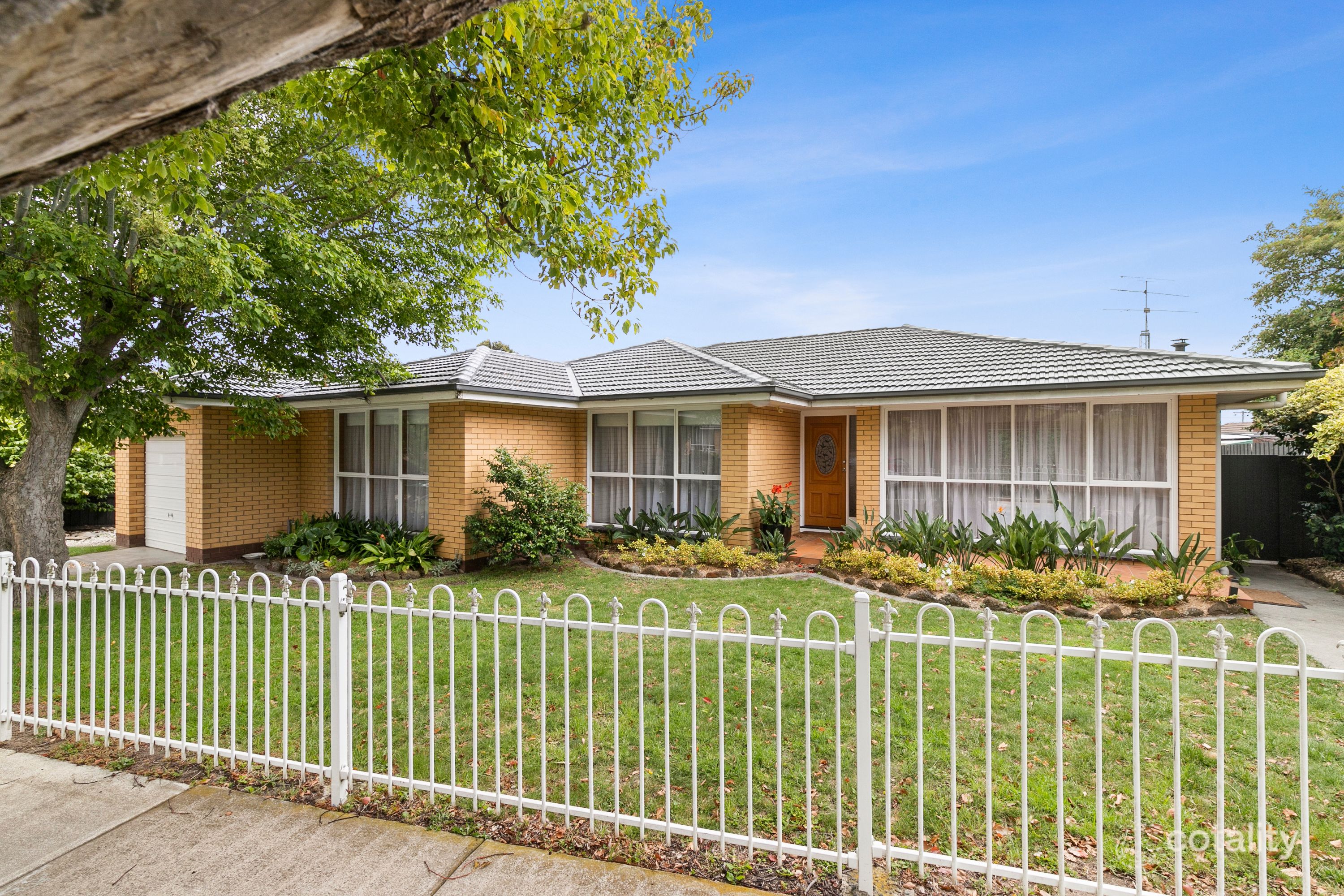 16 Everett Cl, Herne Hill, VIC 3218