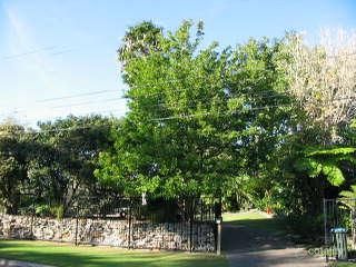 61 Wearden Rd, Frenchs Forest, NSW 2086