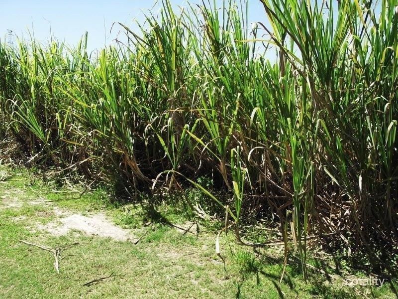 80 Haren Rd, Bellenden Ker, QLD 4871