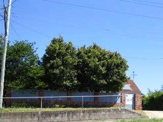 190 Wommara Ave, Belmont North, NSW 2280