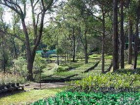 159-161 Singles Ridge Rd, Yellow Rock, NSW 2777