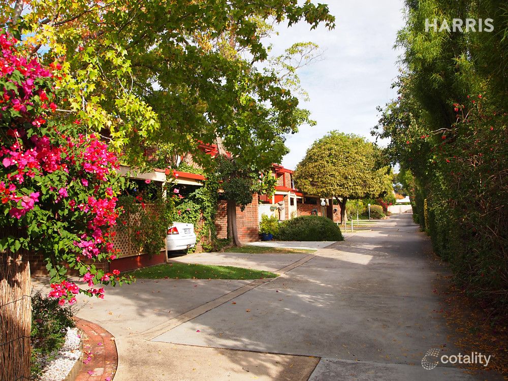6/3 Orchard Ave, Everard Park, SA 5035